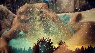 A clip of your starlette making a nice head