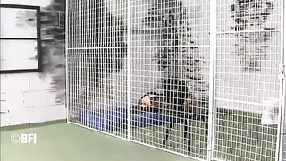 Blonde whore gets punished by 2 slutty soldiers