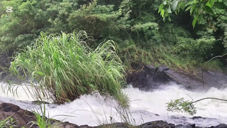 Sleazy Sex in Jungle at the Waterfall