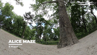 Fucking bitch Alice Maze Analy Slammed & Fisted