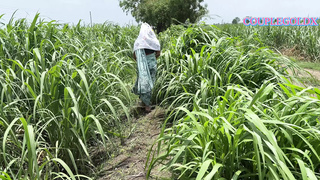 Komal walked ahead into the sugarcane field and followed bum Ushka Guy
